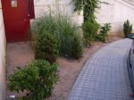 DSCN0912.JPG