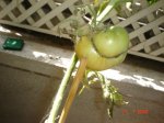 DSC00873.JPG