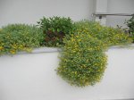 114-1403_IMG.jpg