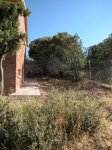 DSCN0591.JPG