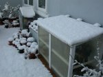 invernadero.jpg