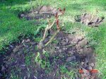 DSC04084.jpg