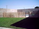 PICT0041.JPG