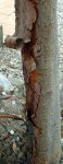 DSC02276.3.jpg