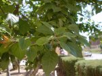 Imagen 037.jpg