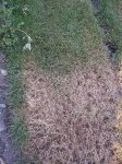 detalle-zona-problematica.JPG