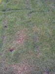detalle-zona-problematica2.JPG