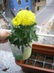 Imagen_018.jpg