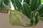 DSC00480.jpg