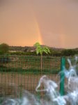 DSC01533.JPG