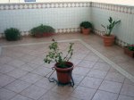 IMAG0015.jpg