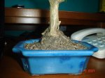 DSC02385.JPG