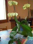 DSCN0893.JPG