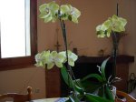 DSCN0891.JPG