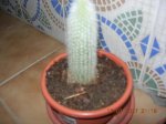 DSCN0670.JPG