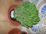 DSCN0671.JPG