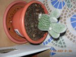 DSCN0672.JPG