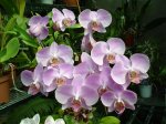 DSC00809.JPG