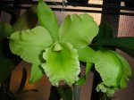 DSC00843.JPG