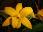 DSC00845.JPG