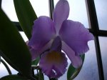 DSC00851.JPG