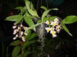 DSC00853.JPG