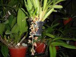 DSC00854.JPG