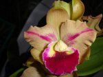 DSC00858.JPG
