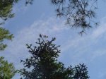 DSC01629.JPG