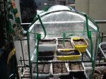 DSC00209_redimensionar.JPG