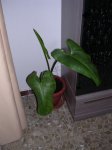 DSCN3059.JPG