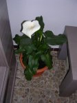 DSCN3062.JPG