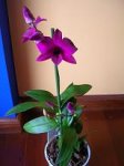 Dscn11760172.JPG