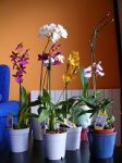 Dscn12350197.JPG