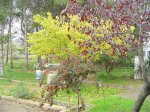 DSC00935.JPG