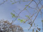 DSC01192.JPG
