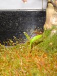 DSC02593.JPG