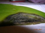 Imagen 015.JPG