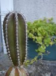DSC01268.jpg