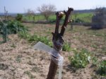 HUERTA 12 - 06 086.jpg