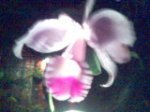 Imagen(131).jpg
