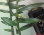DSC00058.JPG