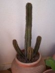 100_1791.JPG