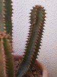 100_1792.JPG