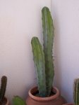 100_1793.JPG