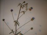 DSCF0843.JPG