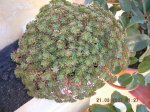 DSCN1141.JPG
