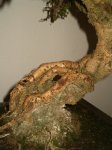 DETALLE_BASE2 copia.jpg