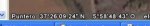 garden.jpg