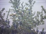 PHTO00086.JPG
